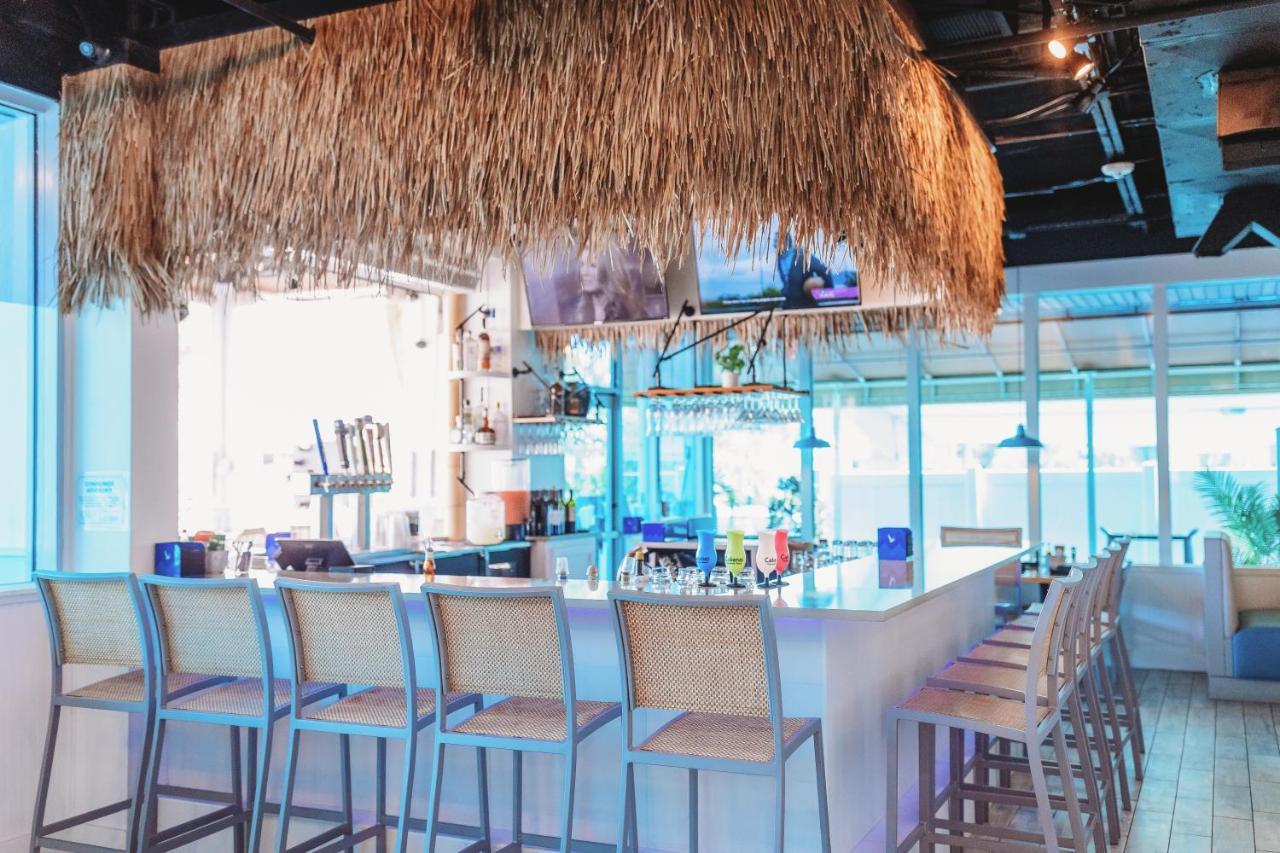 Winter The Dolphin'S Beach Club, Ascend Hotel Collection Clearwater Beach Exterior photo