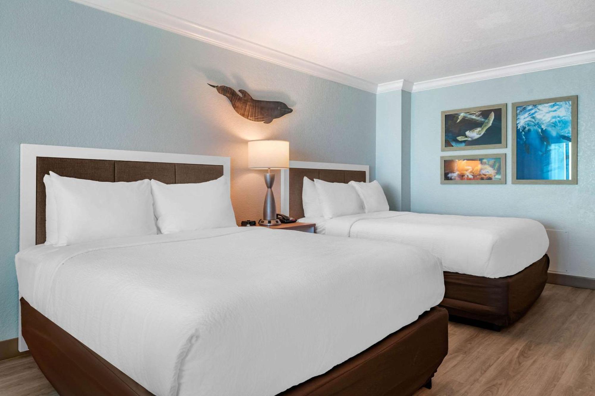 Winter The Dolphin'S Beach Club, Ascend Hotel Collection Clearwater Beach Exterior photo