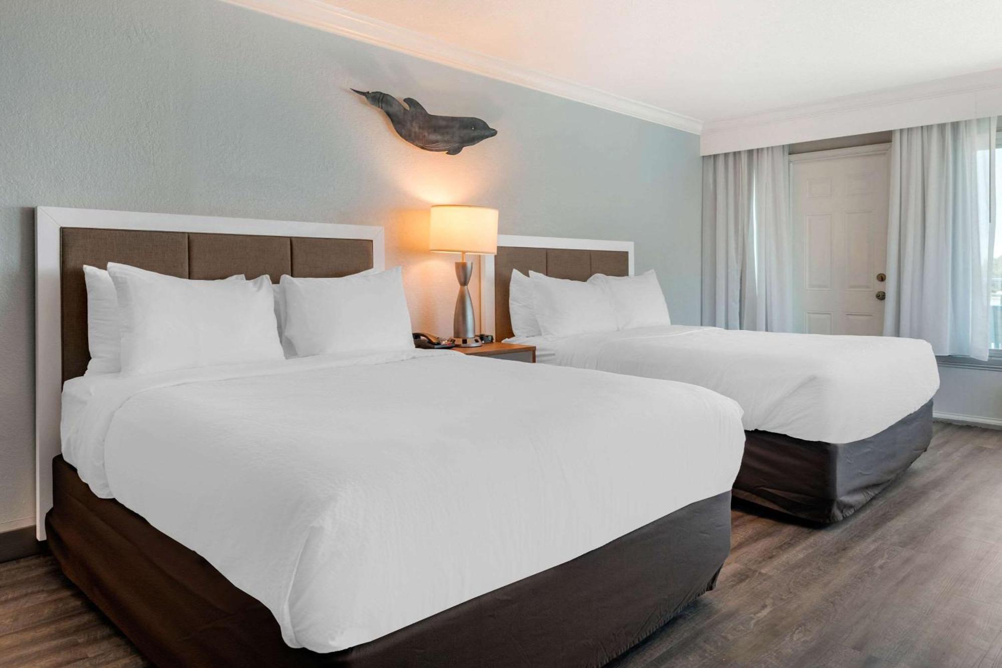 Winter The Dolphin'S Beach Club, Ascend Hotel Collection Clearwater Beach Exterior photo