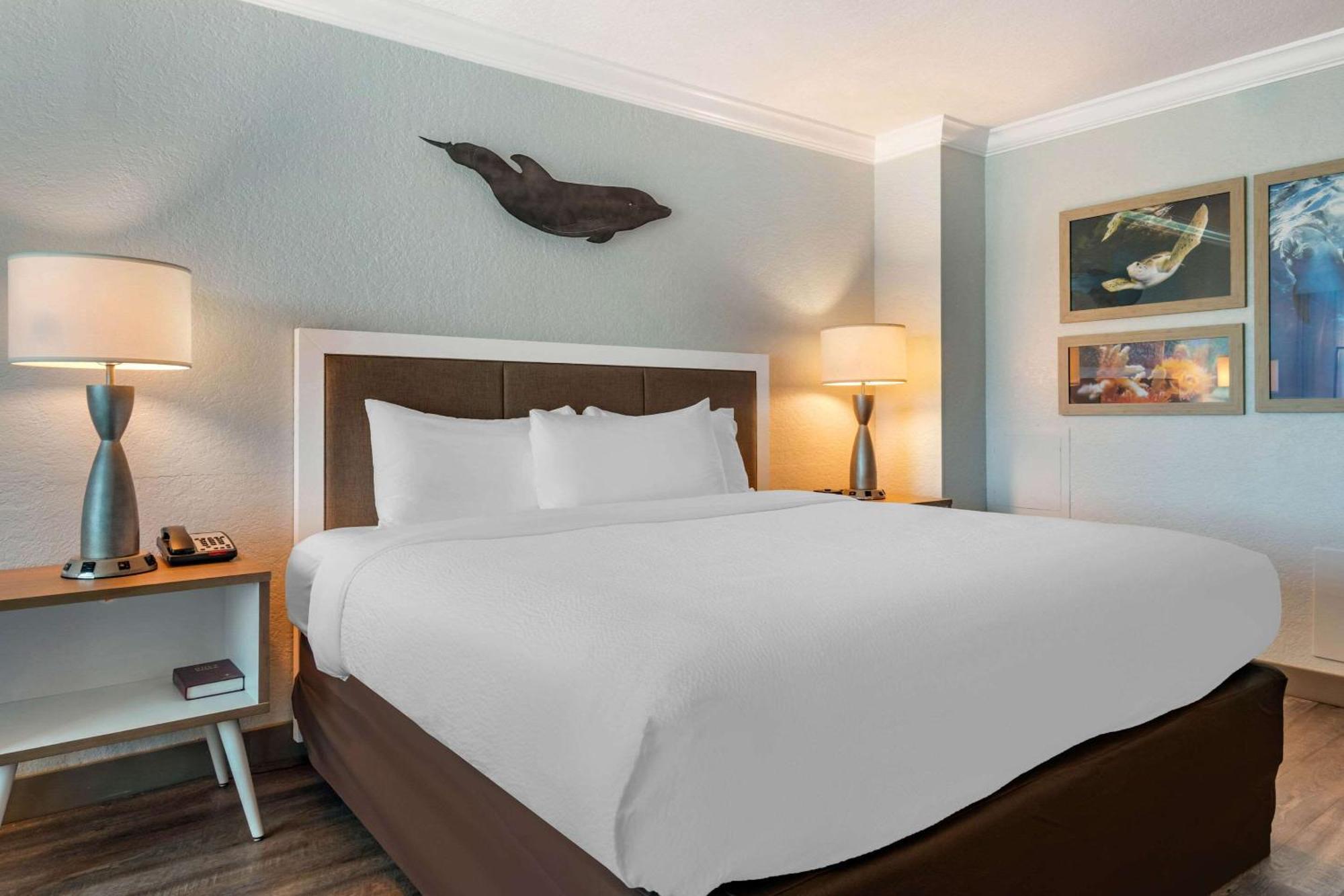 Winter The Dolphin'S Beach Club, Ascend Hotel Collection Clearwater Beach Exterior photo