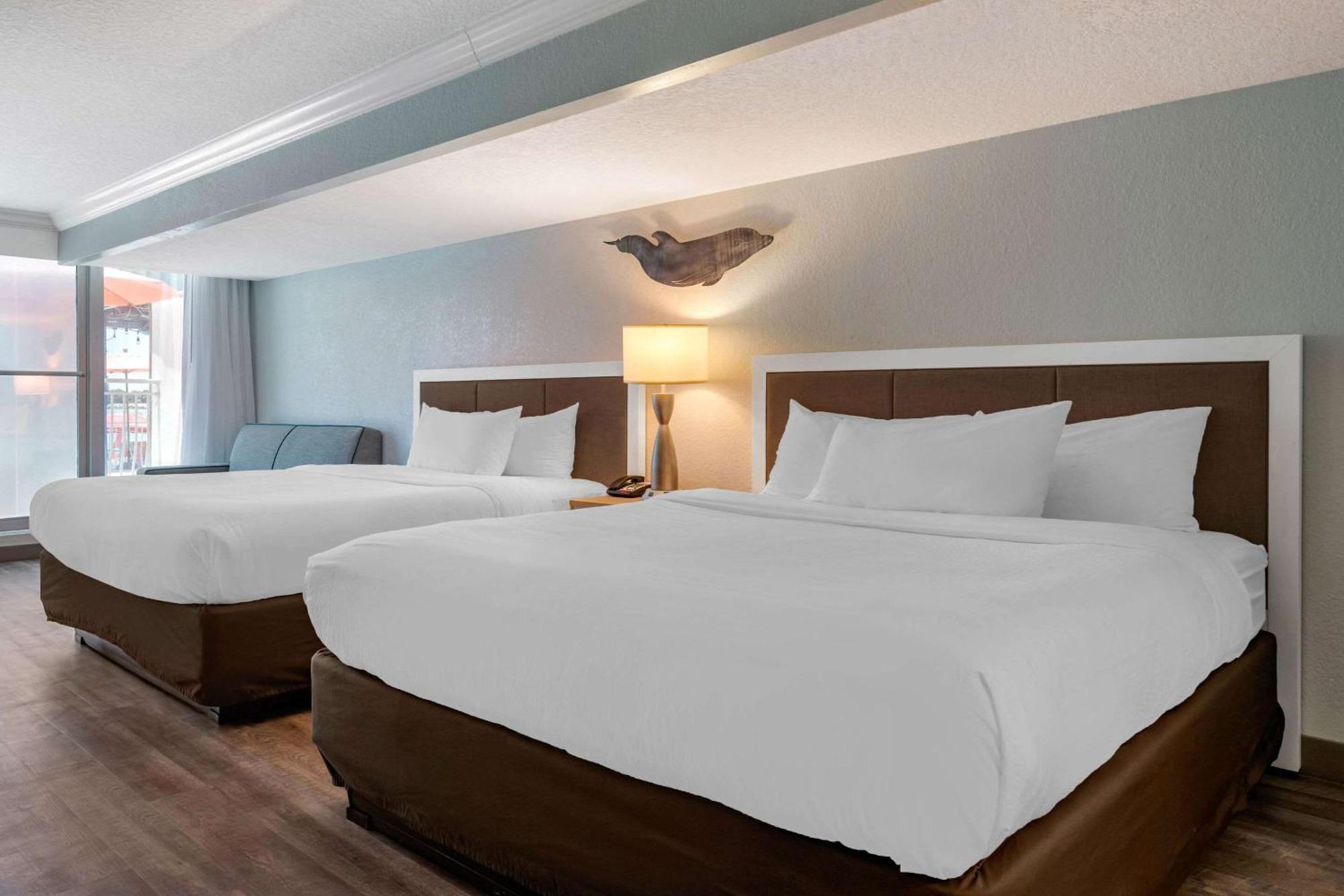 Winter The Dolphin'S Beach Club, Ascend Hotel Collection Clearwater Beach Exterior photo