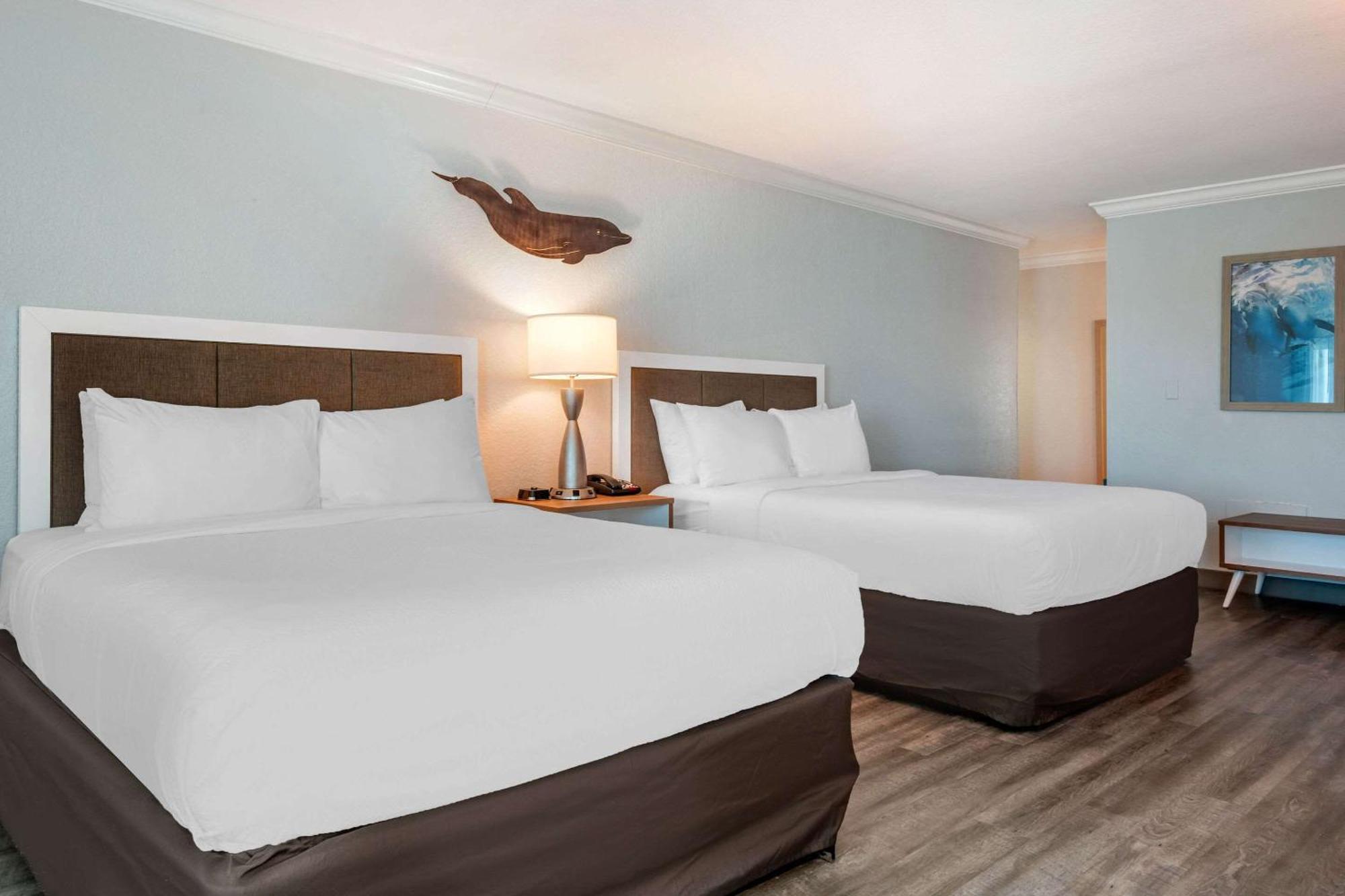 Winter The Dolphin'S Beach Club, Ascend Hotel Collection Clearwater Beach Exterior photo