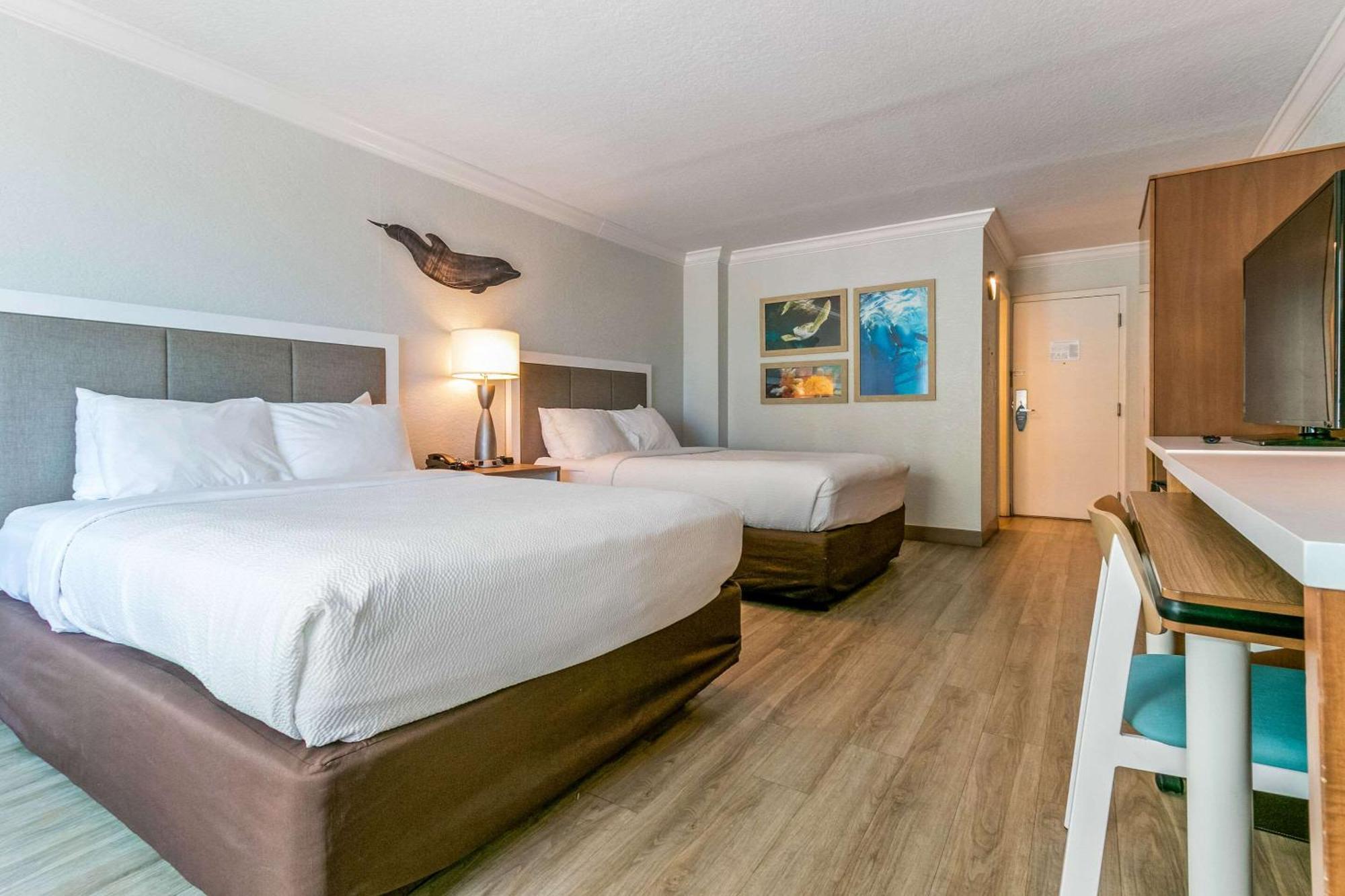 Winter The Dolphin'S Beach Club, Ascend Hotel Collection Clearwater Beach Exterior photo