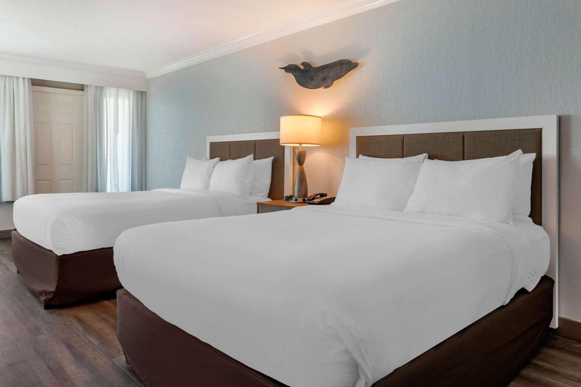 Winter The Dolphin'S Beach Club, Ascend Hotel Collection Clearwater Beach Exterior photo