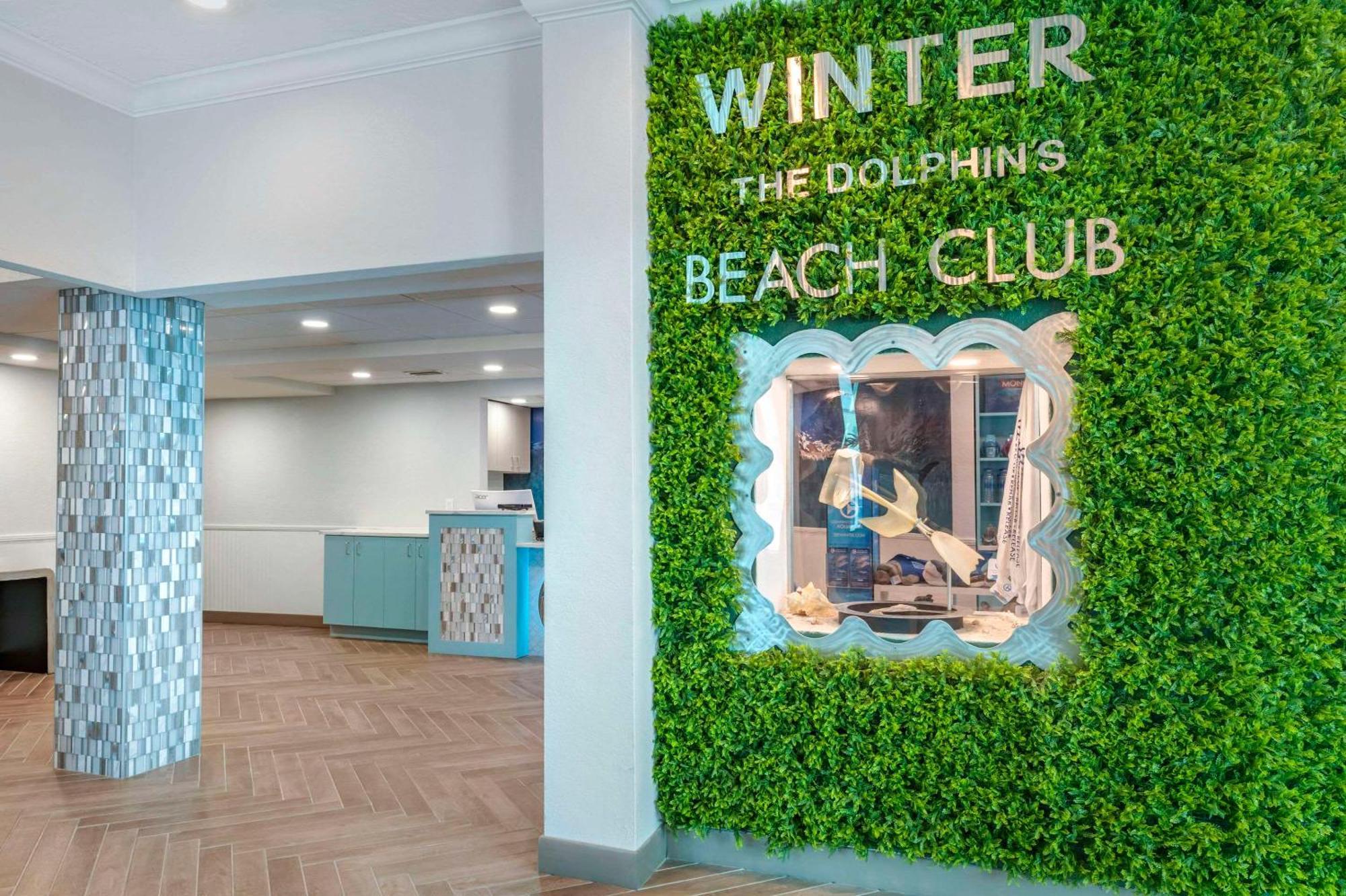 Winter The Dolphin'S Beach Club, Ascend Hotel Collection Clearwater Beach Exterior photo